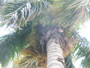 DSCN4824.jpg